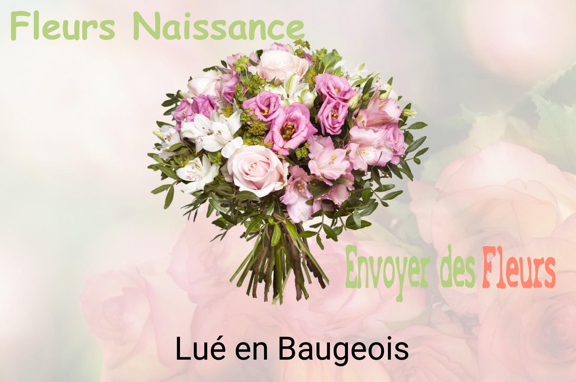 Bouquet de fleurs de naissance livré à Lué-en-Baugeois